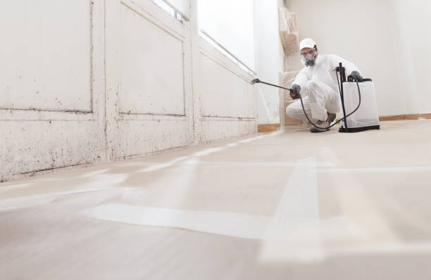 24/7 Emergency Mold Cleanup experts in Marshall, MI