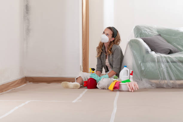 Reliable Mold Cleanup contractor in Marshall, MI by WQB Mold Removal